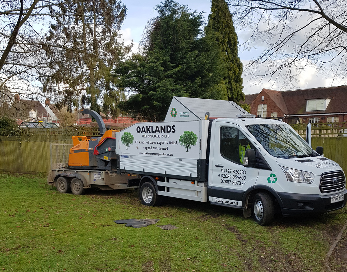 Specialist tree stump removal